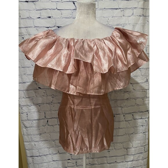 NWT Choosy Copper Rose Organza Dress - NWT Pink Shimmer - Size XS - Picture 3 of 8